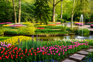 Flower Travel Amazing Guide to Beautiful Floral Trips